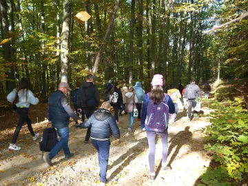 feherkolapa-2025-17.jfif